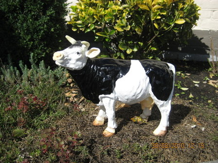 koe beeld  staand