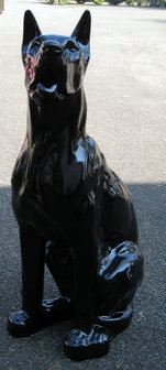 duits-deens-dog - beeld 