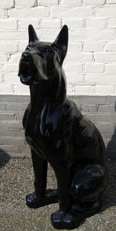 duits-deens-dog - beeld 