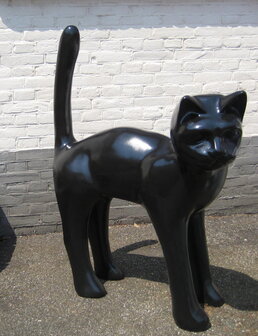 Mega kat - zwart