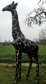 Giraffe 205cm -kunst beeld- golddigger 