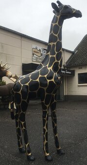 Giraffe 205cm -kunst beeld- golddigger 