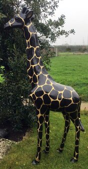 Giraffe 205cm -kunst beeld- golddigger 