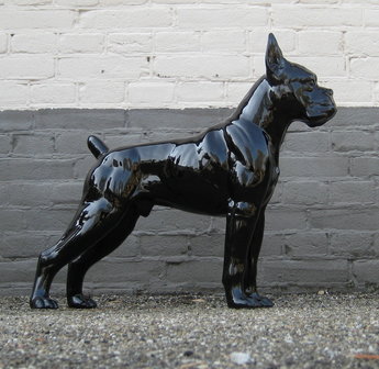 boxer zwart hoogglans polyester beeld decolife 