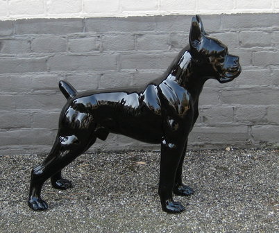 boxer zwart hoogglans polyester beeld decolife 