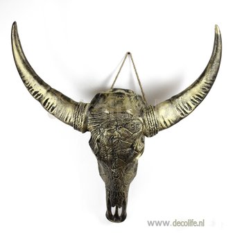 schedel indiaan brons 