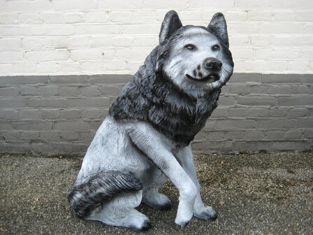 husky poolhond polyester 
