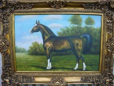 Schilderij paard Olieverf  op canvas 120x90cm 