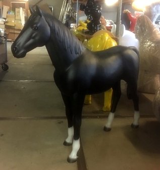 paard mat zwart 