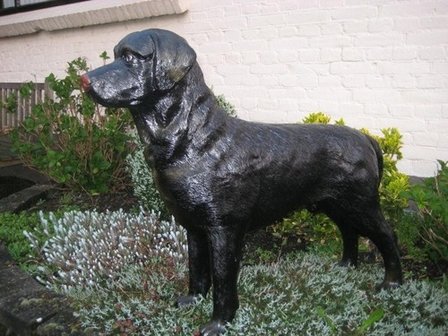 Labrador zwart polyester 95cm &euro;75,00