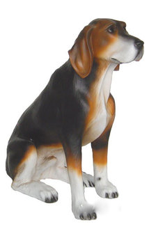 hond-beeld-beagle Harrier