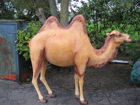 polyester beeld kameel 