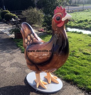 kip hen-barnevelder-decolife