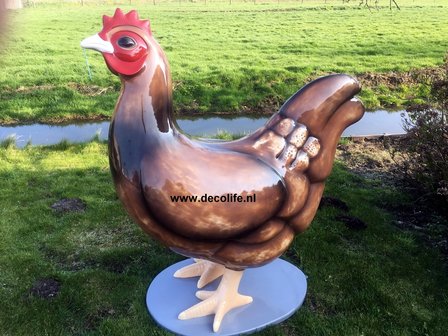 kip hen-barnevelder-decolife