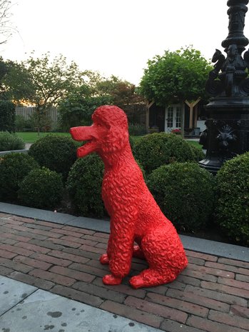 poedel polyester-beeld-rood