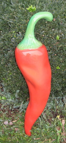  Peper chili peper 70cm rood