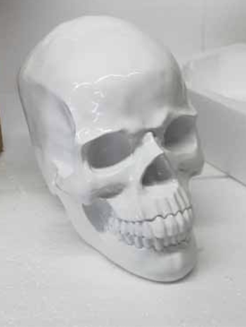 skulldecoratie beeld 