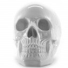 skull witdecoratie beeld 