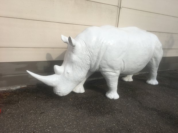 neushoorn wit life size polyester beeld 