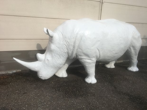neushoorn wit life size polyester beeld 