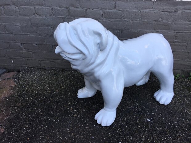 Engels Bulldog 54 cm zwart 