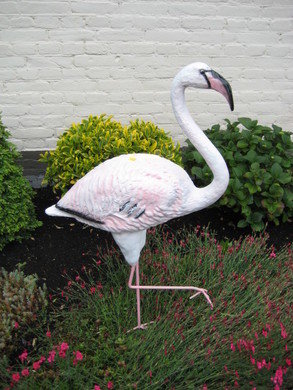 flamingo polyester 