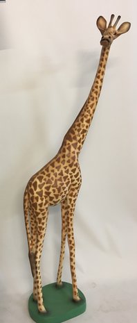 Giraffe 189 cm hoog op sokkel 