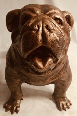 engels bulldog 