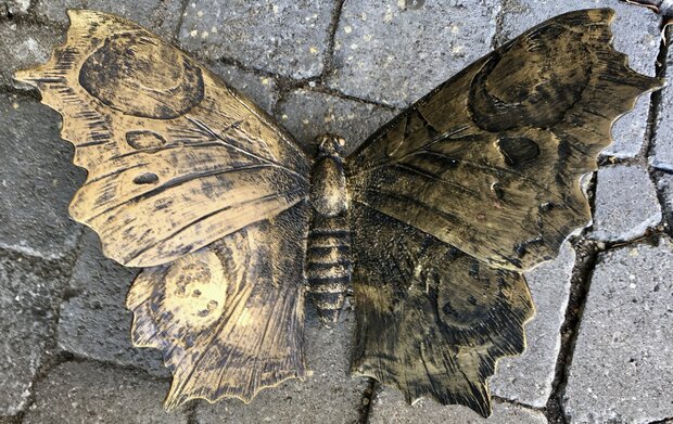 vlinder Xl  gebronsd  polystone 