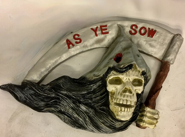  Skull met zeis as ye see40cm lang x 32cm hoog polyester beeld 