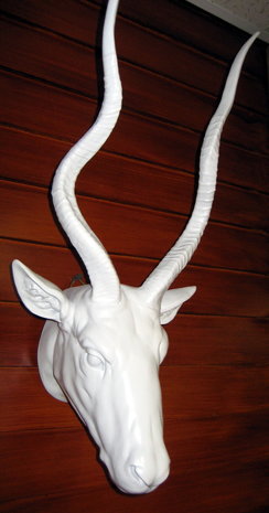 Gazelle kop wit polystone 55cm 