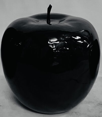 Appel polyester hoogglans zwart 56x55 cm
