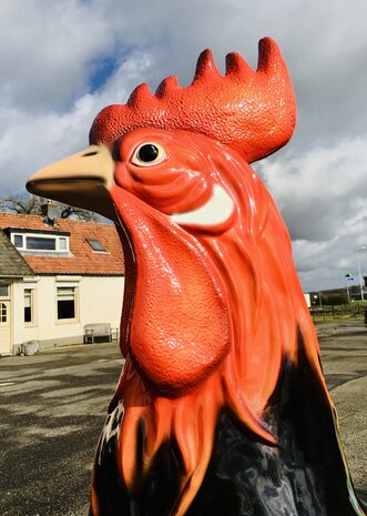 haan xxl barnevelder-polyester-beeld-haan