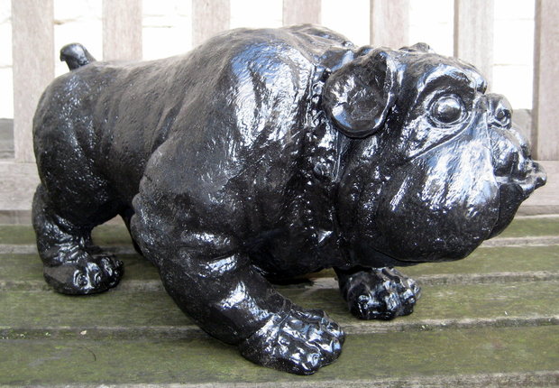 engels bulldog polyester