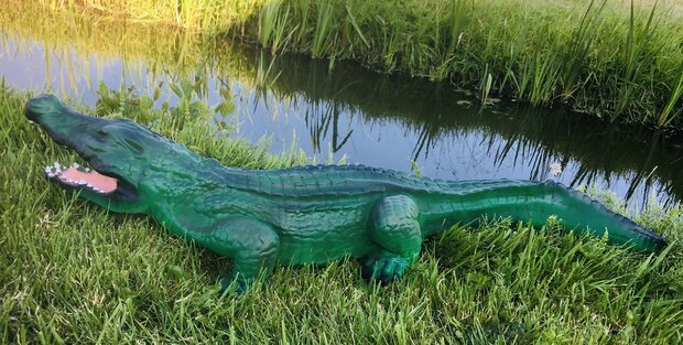 Krokodil beeld 110 cm naturel