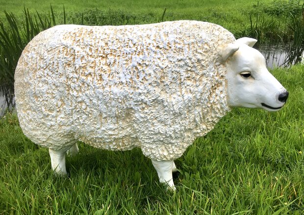 texelaar texels schaap polyester 