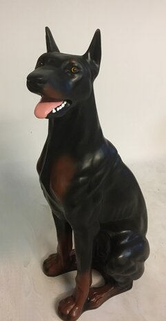 dobermann hond beeld zittend 