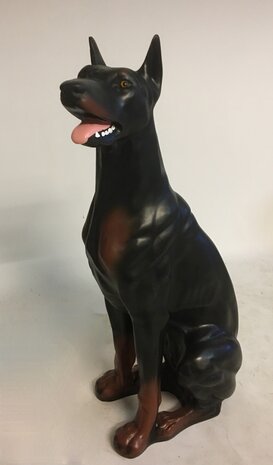 dobermann hond beeld zittend 
