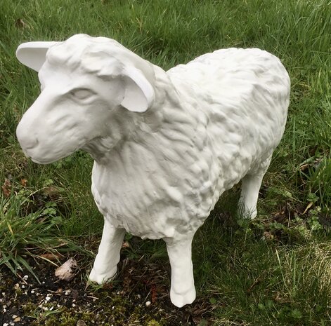 schaap beeld 55cm polyester kunstbeeld