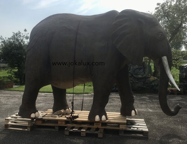 olifant life size 375x245 cm 
