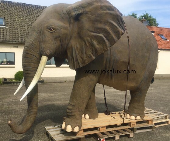 olifant life size 375x245 cm 