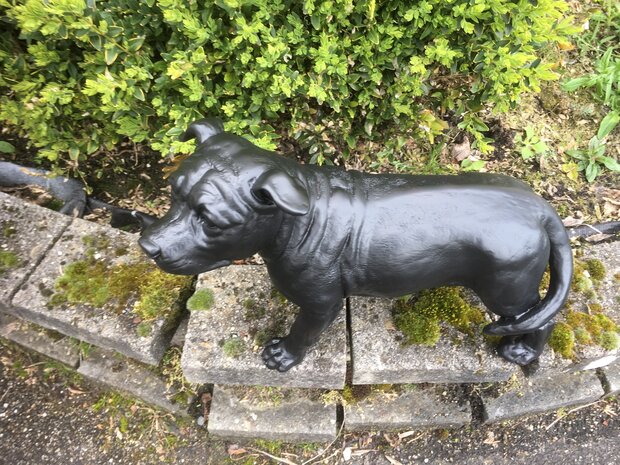 stafford dog polyester beeld  zwart