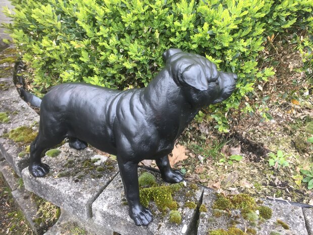 stafford dog polyester beeld  zwart