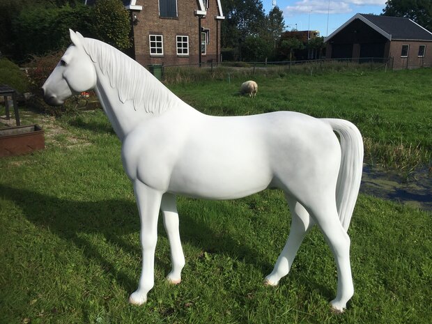 paard beeld polyester  schimmel levensgroot decolife
