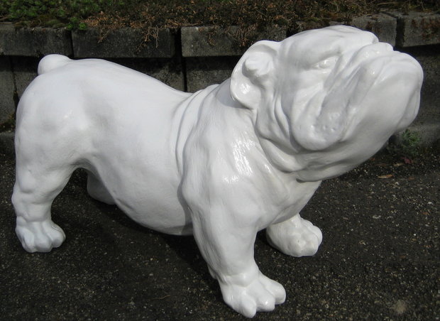 engelse bulldog -polyester-wit