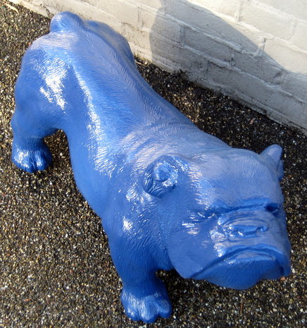 engelse bulldog-Ceasar-65 cm -polyester beeld blauw