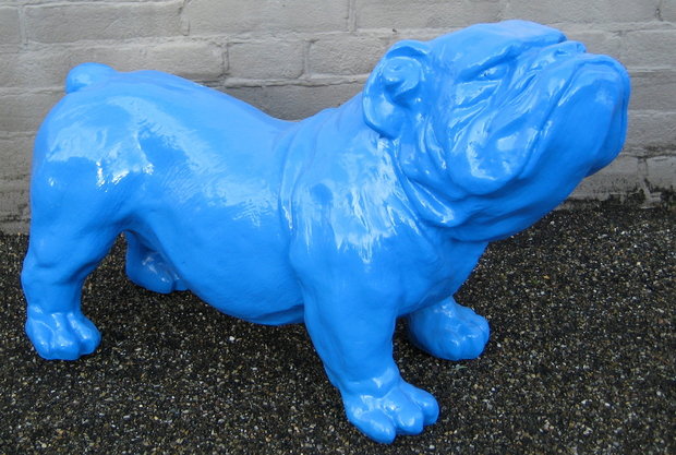 engelse bulldog-Ceasar-65 cm -polyester beeld blauw