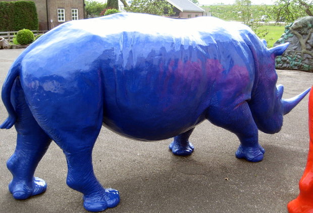 neushoorn Rhinoceros beeld polyester blauw