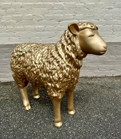 schaap polyester beeld  goud