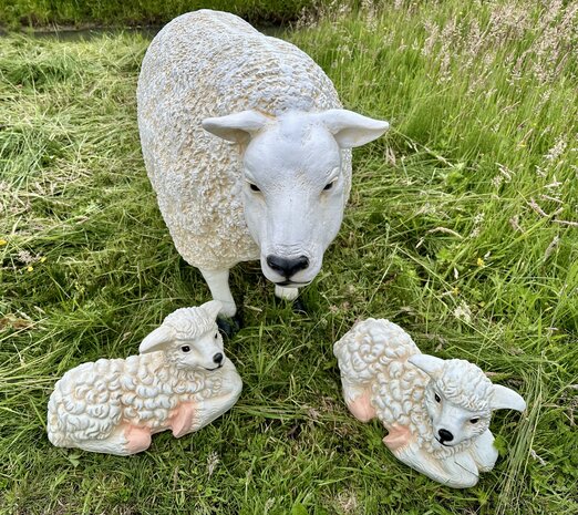 Texels Schaap Staand - met 2 lammetjes  